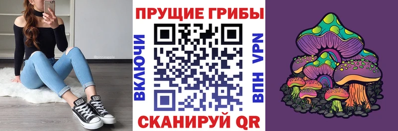 Галлюциногенные грибы Psilocybine cubensis  Купить  Янаул 